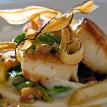 Caramelized Sea Scallops & Salsify